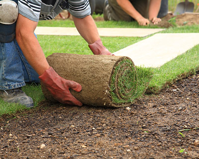 Sod Installation Boise, ID